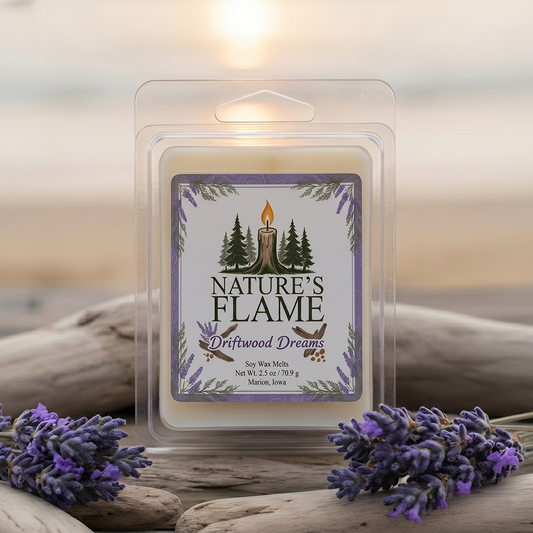 Driftwood Dreams 2.5 oz. Wax Melt (6 ct)