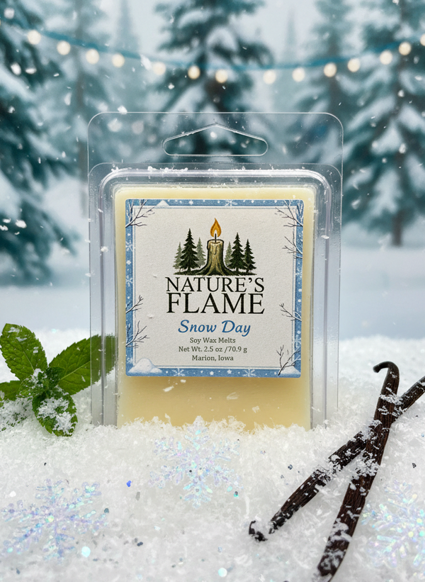 Snow Day 2.5 oz. Wax Melt (6 ct) - Nature's Flame